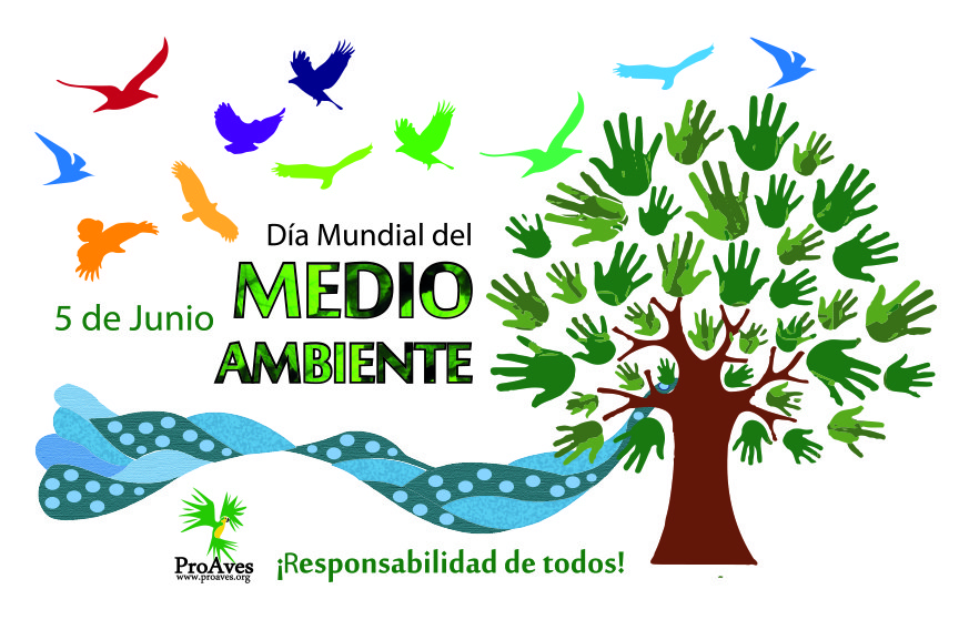 Evento del mes